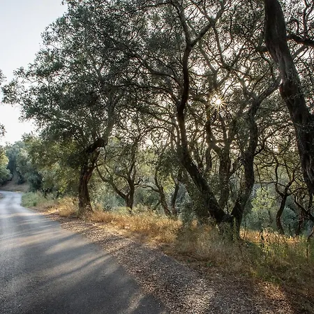 Agrikia House Σπίτι διακοπών Agros (Corfu)