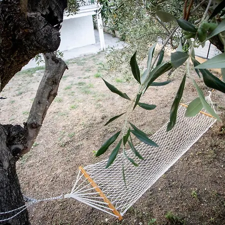 Agrikia House Hébergement de vacances Agros (Corfu)
