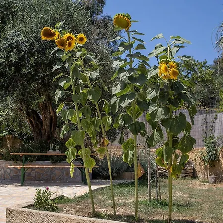 Agrikia House * Agros (Corfu)